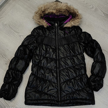 Puma jope s.152