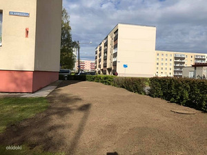 Muru niitmine, trimmerdamine ja aiatööd (4 foto / 4)