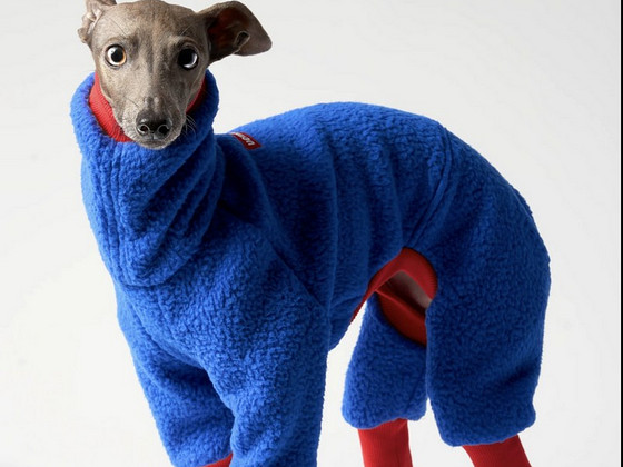 Vemvem® Fleece Suit for Italian Greyhound (Blue)