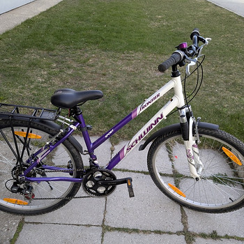 Jalgratas Schwinn Frontier FS Lady
