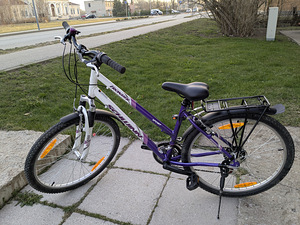 Jalgratas Schwinn Frontier FS Lady (2 foto / 4)