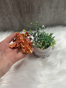 Baby Dragon (4 фото из 7)