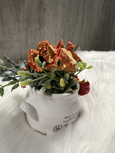 Baby Dragon (7 фото из 7)
