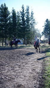Ratsutamistunnid (1 foto / 4)