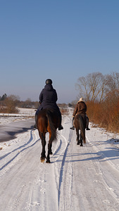 Ratsutamistunnid (3 foto / 4)