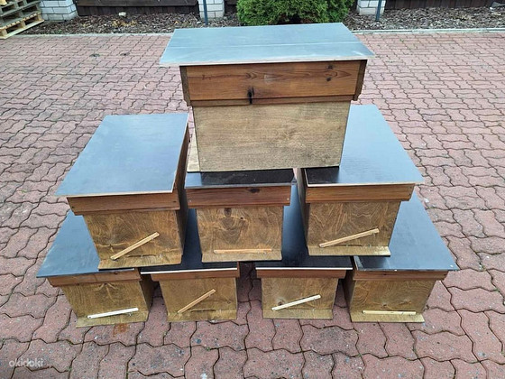 Mesilaste kast / Ящик для пчел
