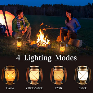 LED винтажные фонари 2 шт. на батарейках + пульт (2 фото из 7)