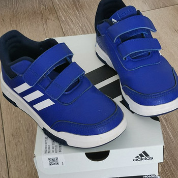 Adidas 31