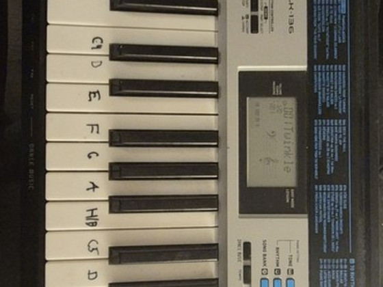 Casio LK-136