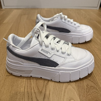 Puma 37