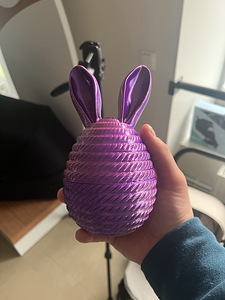 Bunny Egg / Яйцо зайчика (1 фото из 4)