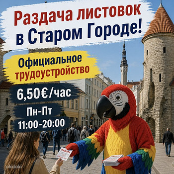 Контактный зоопарк с попугаями ищет в команду листовщика!