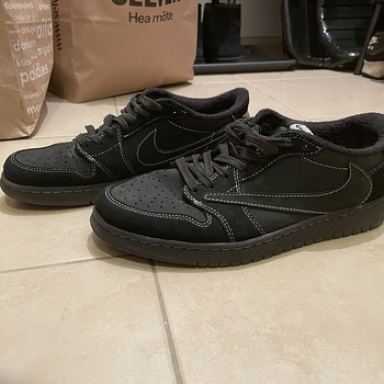 Jordan Travis Scott Shadow