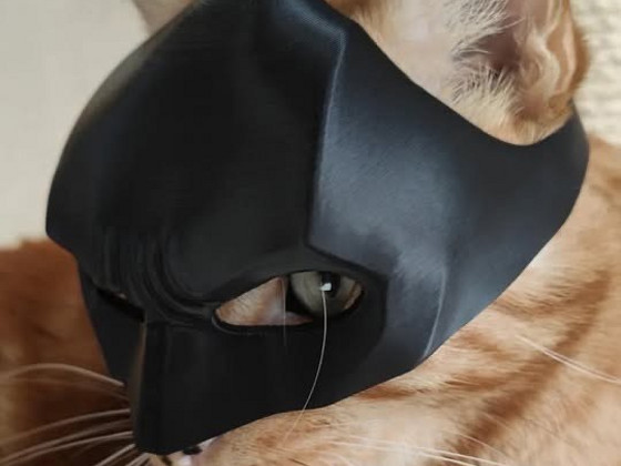 Бэтмен маска для кота Универсальная Cat Batman mask