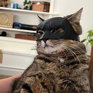 Бэтмен маска для кота Универсальная Cat Batman mask (3 фото из 5)