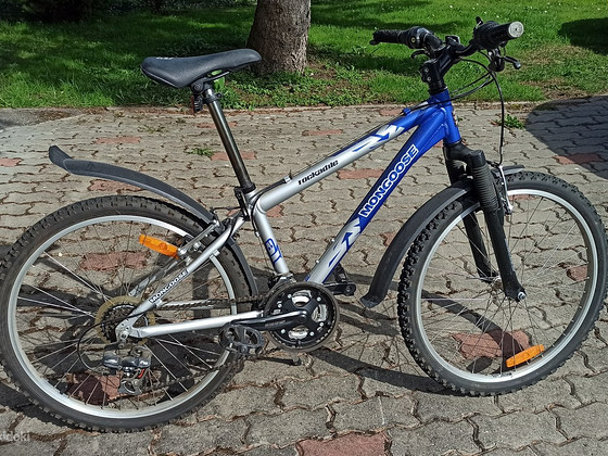Noorte jalgratas "Mongoose Rockadile"