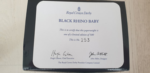 Black Rhino Baby (4 foto / 4)