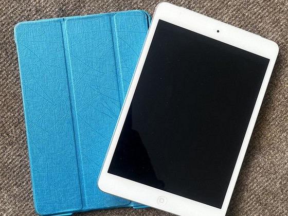 iPad Mini 2 16GB Wifi+LTE + Case