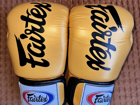 Fairtex BGV19 10oz