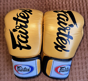 Fairtex BGV19 10oz (1 фото из 3)