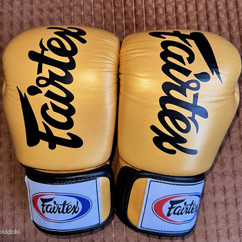 Fairtex BGV19 10oz