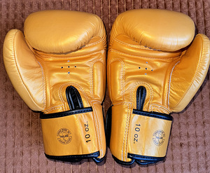 Fairtex BGV19 10oz (2 фото из 3)