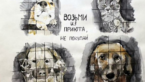 Собакам нужен дом/Не нужно размножать животное (5 фото из 5)