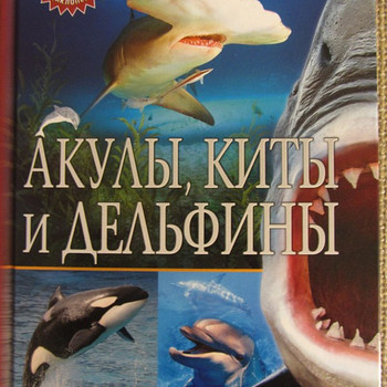 Акулы, киты и дельфины.Популярная детская энциклопедия новая