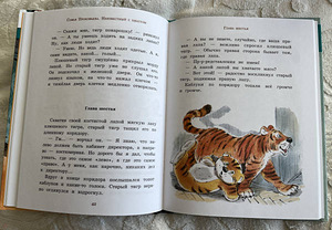 Tundmatu sabaga (2 foto / 6)