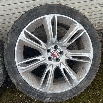 Veljed