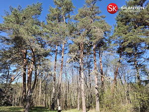 Uustoa, Langa, Lääne-Harju vald, Harjumaa (15 фото из 22)
