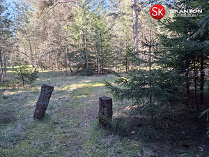 Uustoa, Langa, Lääne-Harju vald, Harjumaa (19 фото из 22)