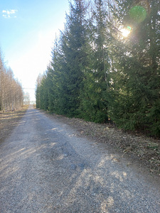 Võru tn 1, Vastseliina, Võru vald, Võrumaa (15 фото из 23)