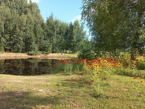 Võru tn 1, Vastseliina, Võru vald, Võrumaa (4 фото из 23)