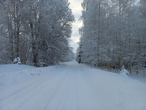 Võru tn 1, Vastseliina, Võru vald, Võrumaa (19 фото из 23)