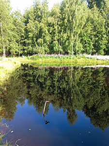Võru tn 1, Vastseliina, Võru vald, Võrumaa (3 фото из 23)