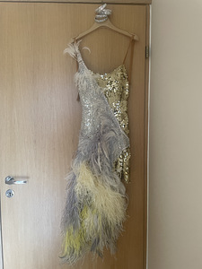 Kohandatud, imeline kleit Ladina tantsuvõistlusteks. (1 foto / 5)