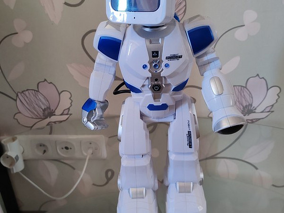 Robot Robert