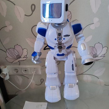 Robot Robert