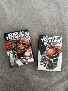 Manga (1 foto / 2)