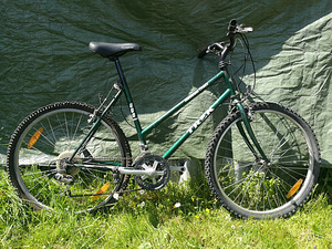Naiste jalgratas Trek (6 foto / 7)