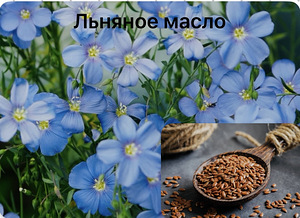 Масло холодного отжима (1 фото из 2)