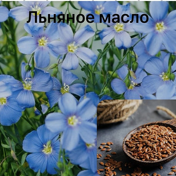 Սառը սեղմման յուղ