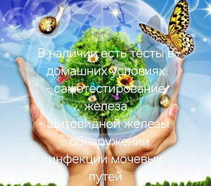 Тесты в домашних условиях (1 фото из 2)