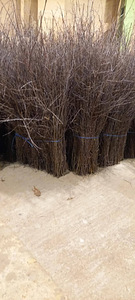 Веники (2 фото из 6)
