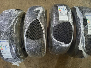 205 60 R 16 Dunlop All Season 2 96V XL (1 foto / 2)