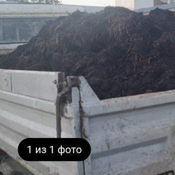 Lehmade sõnnik