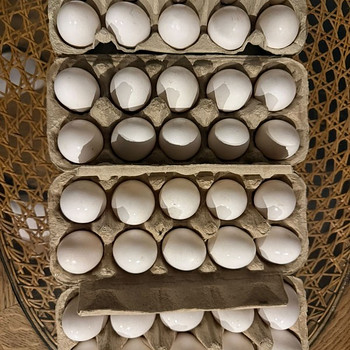 Kodumunad