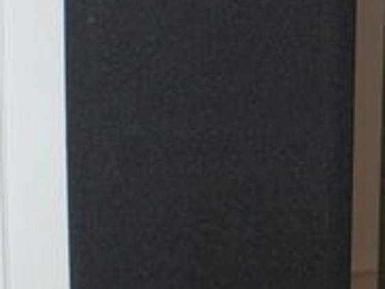 Üksik Polk Audio TSi 300 kõlar