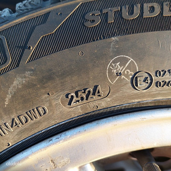 Doublestar Winterking DW08 195/65R15 91T